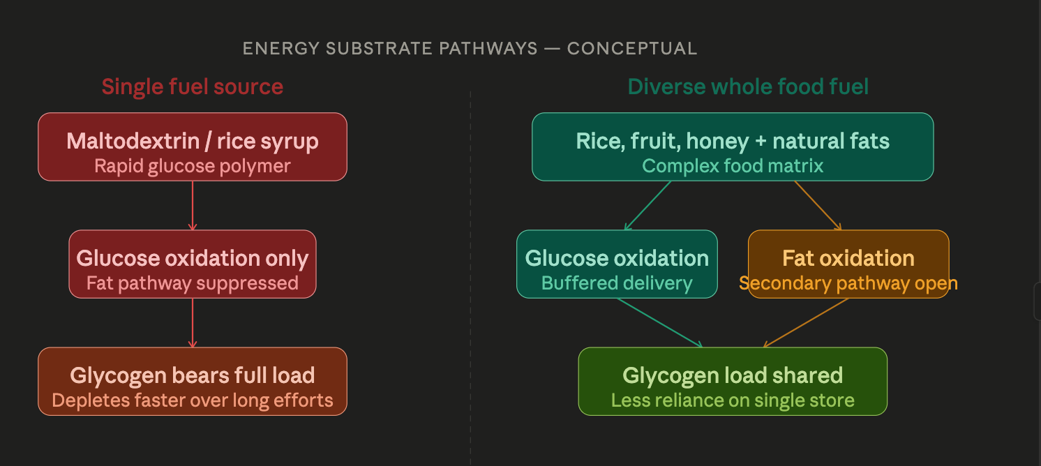 What You Fuel With Shapes More Than Your Race