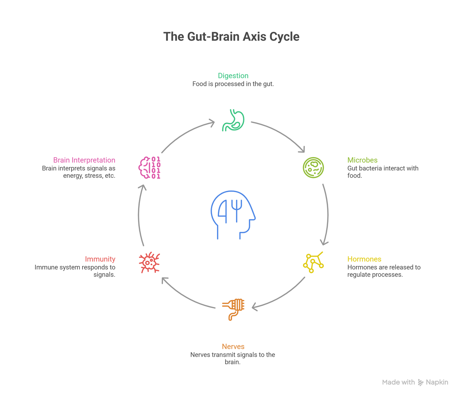 Food and mood: why your gut can shape your mind